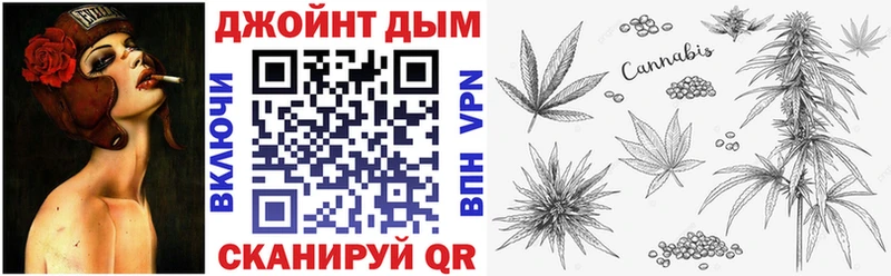 Виды наркотиков купить Нахабино МАРИХУАНА  Меф мяу мяу  Галлюциногенные грибы  ГАШИШ 