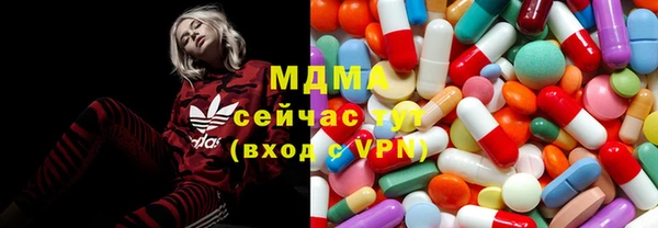 индика Надым