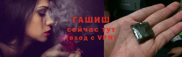индика Надым